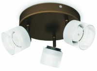 Lustră Philips Fremont Bronze 53333/06/16
