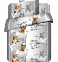 Постельное бельё Василиса 1.5 Teenager Print 4000 Felix and Bonnie