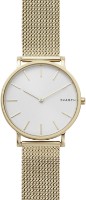 Наручные часы Skagen SKW6443