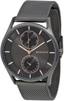 Наручные часы Skagen SKW6180