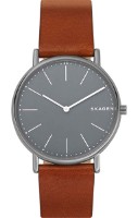 Наручные часы Skagen SKW6429