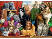 Puzzle Trefl 1000 Feline meeting (10555)