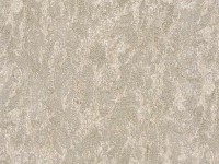 Tapete Zambaiti Parati 3409 Trussardi 3