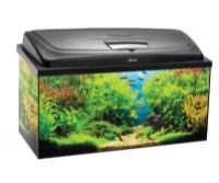 Аквариум Aquael Aqua4 Start Rectangular 54L (113065)