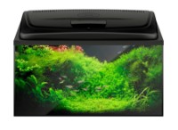 Acvariu Aquael Aqua4 Family Rectangular 112L (113491)