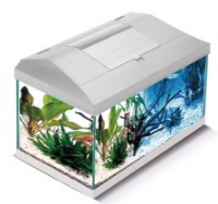 Аквариум Aquael Set Leddy Plus PAP-60 D&N LED (122730)
