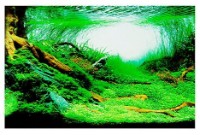 Задний фон для аквариумов и террариумов Ferplast Blu 9040