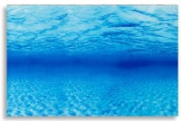 Задний фон для аквариумов и террариумов Ferplast Blu 9041