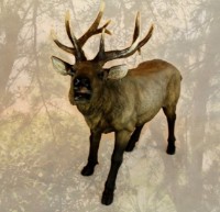 Садовая фигура Figuren Discounter Deer (7959)