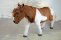 Садовая фигура Figuren Discounter Pony (Z2293)