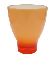 Pahar pentru periuțe de dinți Feca D Acrylic Orange (460201-3428)