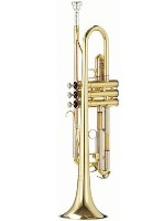 Trompete Parrot 6416 L