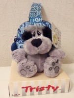 Детский рюкзак Venturelli Tristy (870028)