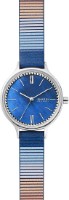 Наручные часы Skagen SKW2906