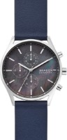 Наручные часы Skagen SKW6653