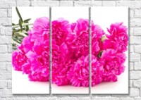 Pictură Magic Color Bouquet of Purple carnations (500139)