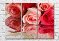 Pictură Magic Color Bouquet of roses and water droplets (500149)