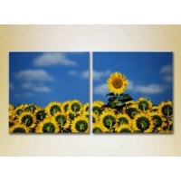 Pictură Magic Color Diptych Sunflower Field (2613809)