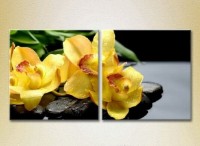 Pictură Magic Color Diptych Yellow orchids on stones (2613768)