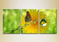 Картина Magic Color Triptych Butterfly and Dew (2698972)