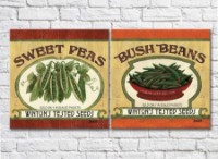 Картина ArtPoster Vegetable kitchen 1 (2602681)