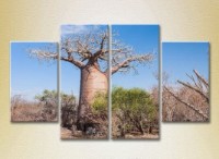 Pictură Rainbow Polyptych Baobab (2223660)