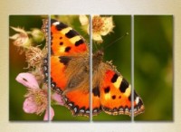 Картина Rainbow Polyptych Butterfly 01 (2222239)