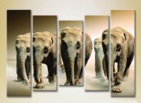 Pictură Rainbow Polyptych Elephant Family 03 (2224638)