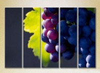 Картина Rainbow Polyptych Grapes Lydia 05 (2224617)