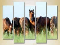 Pictură Rainbow Polyptych Horses in the field 04 (2224635)