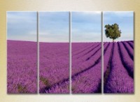 Картина Rainbow Polyptych Lavender field with tree 01 (2223678)