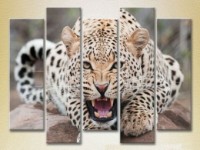 Pictură Rainbow Polyptych Leopard 03 (2224643)