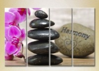 Картина Rainbow Polyptych Massage stones and orchid 01 (2932314)