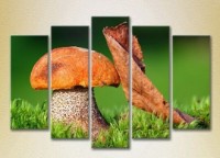 Картина Rainbow Polyptych Mushroom and leaf 02 (2932805)