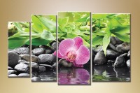 Картина Rainbow Polyptych Orchids 1 (1612509)