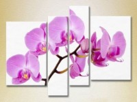 Картина Rainbow Polyptych Orchids lilac (2932323)