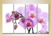 Pictură Rainbow Polyptych Orchids lilac with buds 01 (2932344)