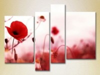 Картина Rainbow Polyptych Poppies 02 (2932310)
