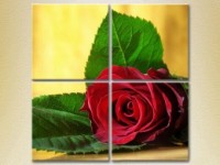 Картина Rainbow Polyptych Red Rose (2932294)
