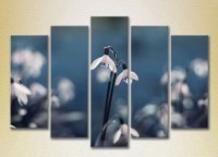 Картина Rainbow Polyptych Snowdrops 04 (2932854)