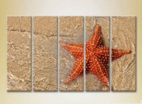 Pictură Rainbow Polyptych Starfish on the Shore 02 (2224771)