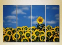 Картина Rainbow Polyptych Sunflower Field 02 (2932336)