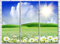 Pictură Gallerix Chamomile field against the backdrop of green hills and sun (500633)