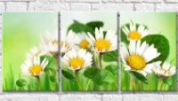 Картина Gallerix Chamomile lotus (500615)