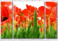 Pictură Gallerix Floral abstraction from red flowers and leaves of tulips (500800)