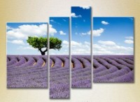 Pictură Rainbow Polyptych Tree in a lavender field 02 (2223668)