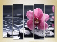 Картина Rainbow Polyptych Violet Orchid 02 (2932852)