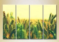 Картина Rainbow Polyptych Wheat Field (2932340)