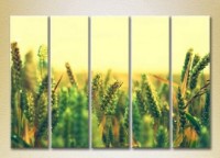 Картина Rainbow Polyptych Wheat Field 03 (2932862)