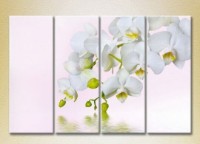 Pictură Rainbow Polyptych White Orchid 01 (2932299)